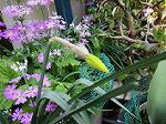 IMG_0054