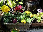 IMG_0057