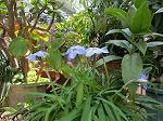 IMG_0068