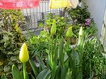 IMG_0081