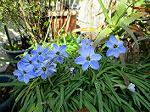 IMG_0088