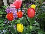 IMG_0091