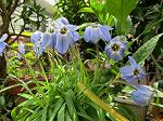 IMG_0095