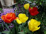 IMG_0096