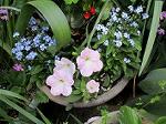 IMG_0097