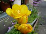 IMG_0105