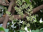 IMG_0186