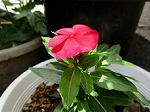 IMG_0187
