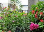 IMG_0190