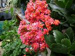 IMG_0191