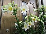 IMG_0192
