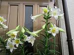 IMG_0193