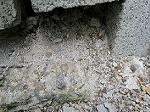 IMG_0194