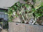 IMG_0195