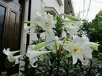 IMG_0199