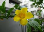 IMG_0243