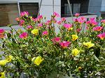 IMG_0256