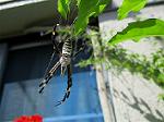 IMG_0269