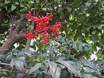 IMG_0292