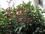 IMG_0294