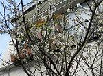IMG_0316