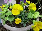 IMG_0326