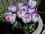 IMG_0329