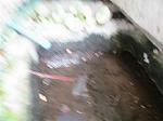 IMG_0339
