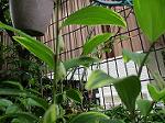 IMG_0402