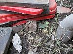 IMG_0504